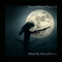Sound Wired Deep 14 Mixed By Yellow&Skinny by Oscar Mokome