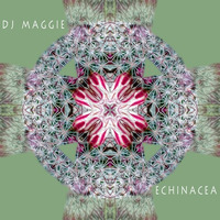 Echinacea by DJMaggie