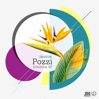 JMR006 - Pozzi - Strelitzia (Original Mix) by Just Move Records