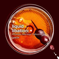 Liquid Libation - A Sunday Afternoon Refreshment | vol 14 by JimiG