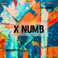 SHOBEATS - X NUMB by Producer Bundle