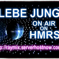Lebe jung live @hmrs 31.01.2014 by Lebe Jung