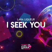 I Seek You by Lara Liqueur
