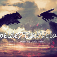 Doppeldes TekkVolumen Mix 1 - (mixed by ChrisStation) by Chris Station