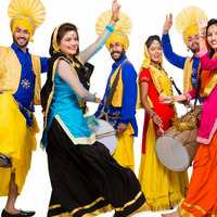 Funky Mosquito Indian Punjabi Bhangra Beats Too by Funky Mosquito