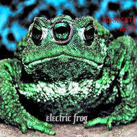 Electric Frog - Fornicata &amp; WÜST by WÜST