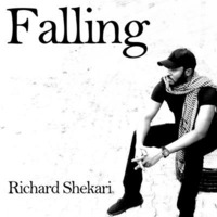 Falling by Richard Shekari