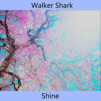 Walker Shark - Shine (Original Mix) Free Download by NoAnwer