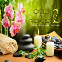 Chill & Voices 2 by vinyl maniac.mp3 by Szuflandia Tunez!