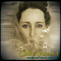 Chill & Voices 3 by vinyl maniac.mp3 by Szuflandia Tunez!