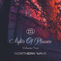 Nights Of Pleasure. Volume Two by Northern Wave