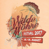 BARTi @ Wilde Möhre Festival 2017 (Saloon) by BARTi