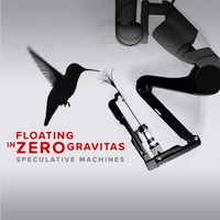 Floating in Zero Gravitas by Speculative Machines