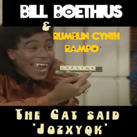 The Cat said 'Jozxyqk'! by Bill Boethius