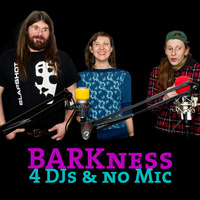 Barkness - 4DJs &amp; No Mic #29 by Pi Radio