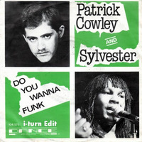 Patrick Cowley & Sylvester - Do You Wanna Funk (i-turn Edit) by Timothy Wildschut