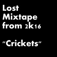 Lost Mixtape from 2016 - &quot;Crickets&quot; by BLACKBIRD
