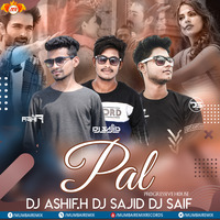 Pal (Progressive House)DJ Asif H x DJ Sajid x DJ Saif [wWw.MumbaiRemix.Com] by MumbaiRemix India™