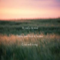 My Soul Is The Wind Dashing Down Fields Of Autumn - O Too Swift To Sing (Naviarhaiku 254) by OneAmbient4