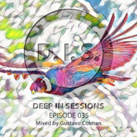 Episodio 035 - Deepinsessions#Gustavo Colman by Deep In Sessions