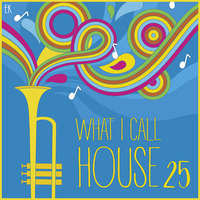 What I Call House Vol.25 by Emre K.