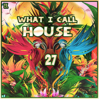 What I Call House Vol.27 by Emre K.