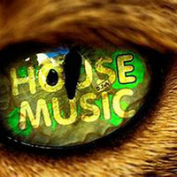Rhythmjunkies Real House Rhythms ( Smooth House n Garage vibe Mashup mixtape ) by A RhythmJunkie