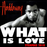 Haddaway - What Is Love (2Teamdjs 2018) by 2Teamdjs