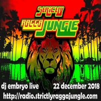 DJ Embryo - Strictly Ragga Jungle Radio Live 6 by DJ Embryo
