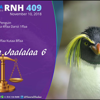 RNH 409 November 10, 2018, Soora Qalbii by NHStudio