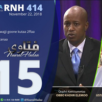 RNH 414, November 22, 2018 Fataawaa 115 by NHStudio