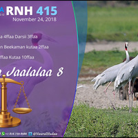 RNH 415 November 24, 2018, Soora Qalbii by NHStudio