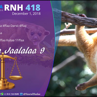 RNH 418 December 1, 2018, Soora Qalbii by NHStudio