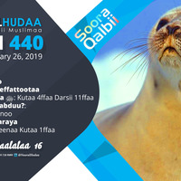 RNH 440 January 26, 2019, Soora Qalbii by NHStudio