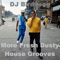 More Fresh Dusty House Grooves by DJ Birdsong
