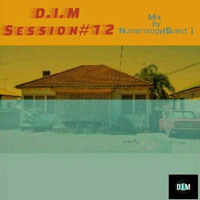 D.I.M Sessions #012 Guest Mix By Numerology by D.I.M SA
