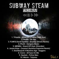 Subway Steam Vol. 1 (Mixtape) by 9th Wave