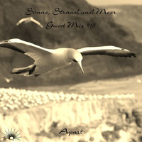 Sonne, Strand und Meer Guest Mix #16 by Apart by Sonne, Strand und Meer