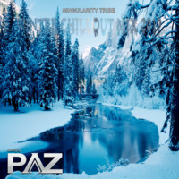 WINTER CHILLOUT MIX 2019 - Singularity Tribe - Live by Pazhermano