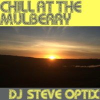 Steve Optix - Chill Out at The Mulberry 27th July 2018 by Steve Optix