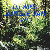 Jungle mix by WINK the DJ