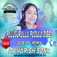 [www.newdjoffice.in]-Paluguralla Padula Dibba New 2018 Song Remix By Dj Harish Sdnr by newdjoffice.in