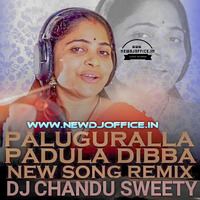 [www.newdjoffice.in]-Palugu_Raala_Padula_Dibba_(Remix)_Dj Chandu Sweety by newdjoffice.in