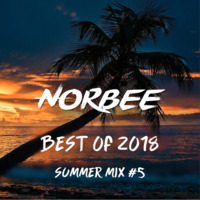 Best Of 2018 - Summer House Mix #5 by Norbee