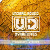Underground Dynamites Vol 22 Mixed By SteezeDeep &amp; VOICE by Underground Dynamites Podcast