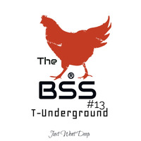 BSS#13 GuestMix T-Underground by Basement Secret Sessions®