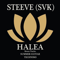 STEEVE- Summer Guitar (Original Mix) by STEEVE (SVK)