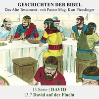 13.Serie | DAVID : 13.7 David auf der Flucht - Pastor Mag. Kurt Piesslinger by Geschichten der Bibel