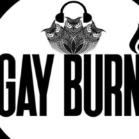 Gay Burn Sampler 2 Wav by Steo_Dub