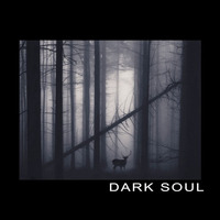 Lucx Vinixki - Dark Soul by LucxMusic